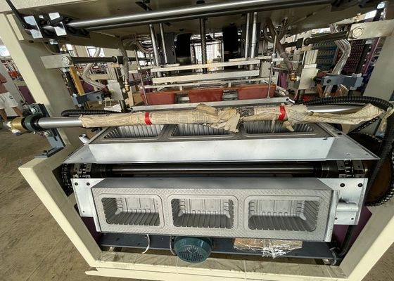 Food Industry Blister Vacuum Forming Machine Automatic