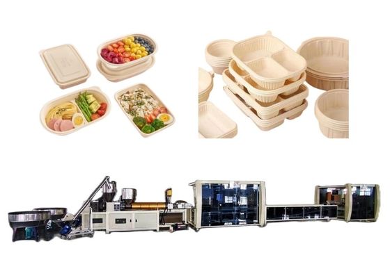 Container Plastic Food Container Manufacturing Machine Takeaway Packaging 55kw