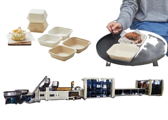 Линия устранимая Biodegradable машина коробки бургера машинного оборудования волдыря пищевого контейнера